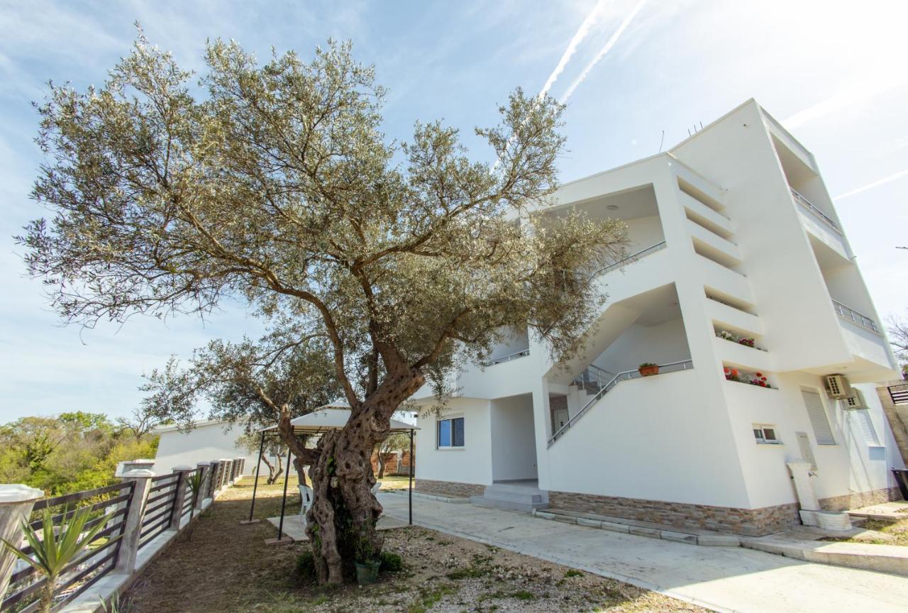 Ditjoni Apartment Ulcinj
