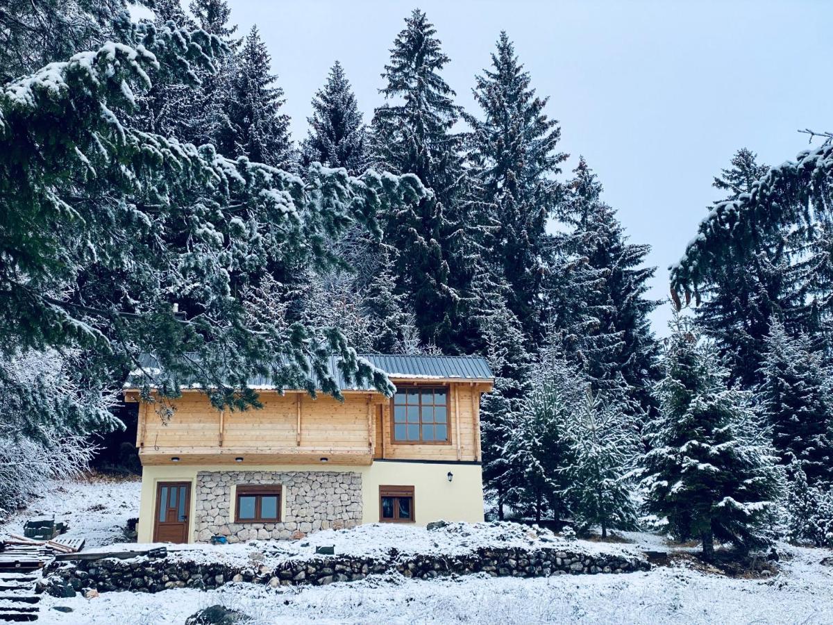 Holiday home Magia Di Montagna Zabljak (Zabljak)