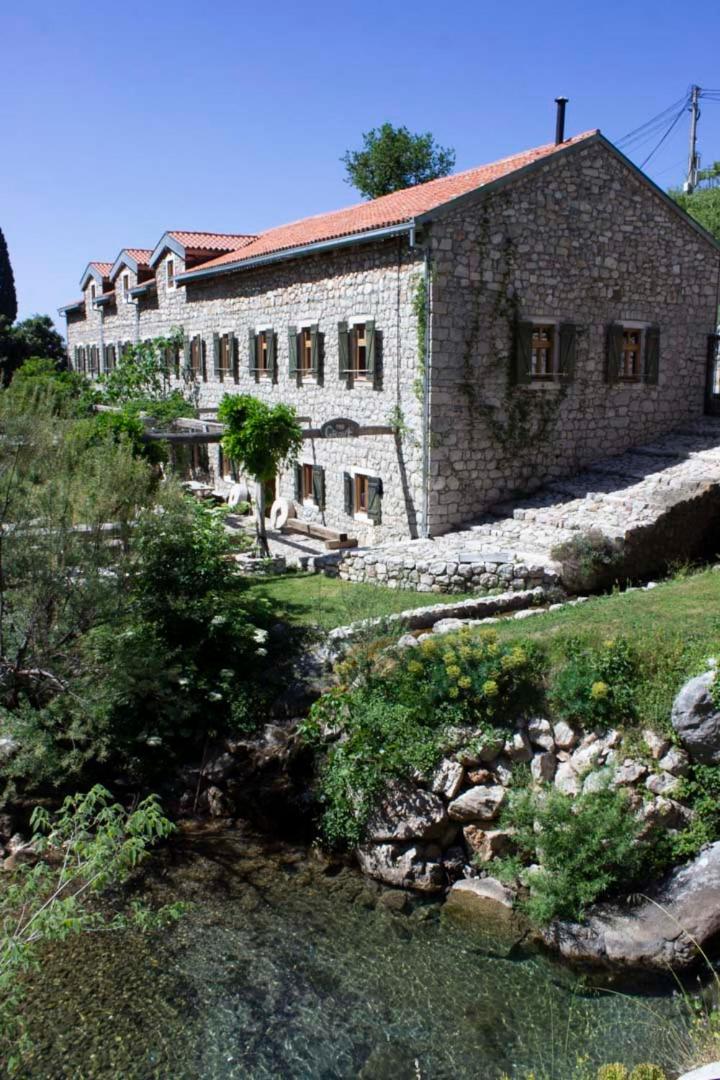 The Grove Montenegro Hostel