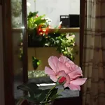 Villa Kunjic Apartmani