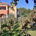 Apartments Rolovina