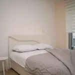 Petra Studio
