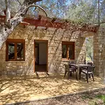 Stonehouse In Olives