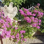 Hotel Villa Jolyn