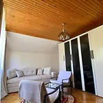 Vila Vidak