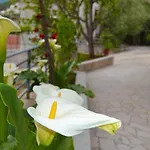 Tivat Apartments
