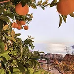 Apartman Lana