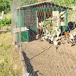 Gavros Apartmani