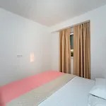 Apartment Dina