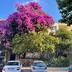 Apartman Sofija Budva