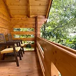 Peaceful Oasis
