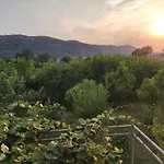 Guest House Tomba