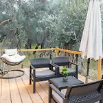 Olive Treasure