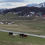 Blackberry House Zabljak