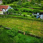 Domacinstvo Luka I Ana - Rakus