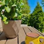 Apartmet Paradise