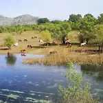 Wild Beauty House Skadar Lake
