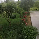 Apartman Petovic