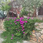 Apartments Draga
