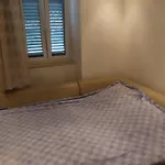 Charming Studio - Old Town