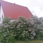 Zabljak Izdavanje Kuce