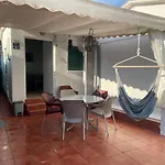 Galeb