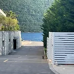 Galeb