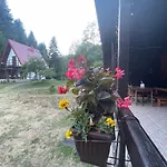 Cottage In The Wild Pjescanica