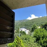 Cetkovic