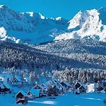 Vuk