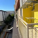Golden Parrot