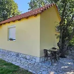 San Kruse 2