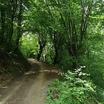 Ljuta Village