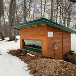 Rakovic Katun - Biogradska Gora Accomodation