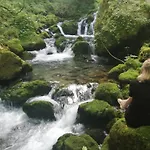 Zelena Livada
