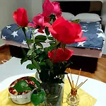 Apartman Pavle