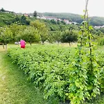 Household Nikolic - Andrijevica, Montenegro