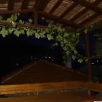 Hidden Olive Oasis