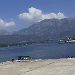 Sea Mona