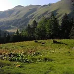 Domacinstvo Pesica