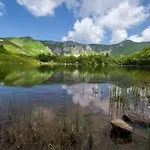 Domacinstvo Pesica