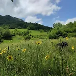 Valley Tara