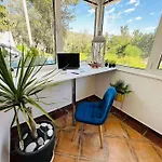 Design Studio In Petrovac