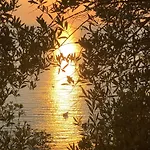 Rasi Seaview Apartments