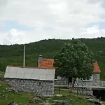 Oaza Mira