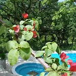 Poolside Apartments Miljan I Ranko