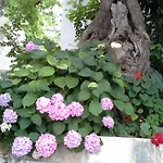 Apartmani Steni