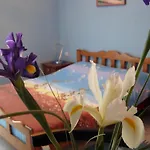 Djurovic Apartments Montenegro