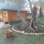 Olive Garden