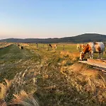 Apartman Djina Zabljak